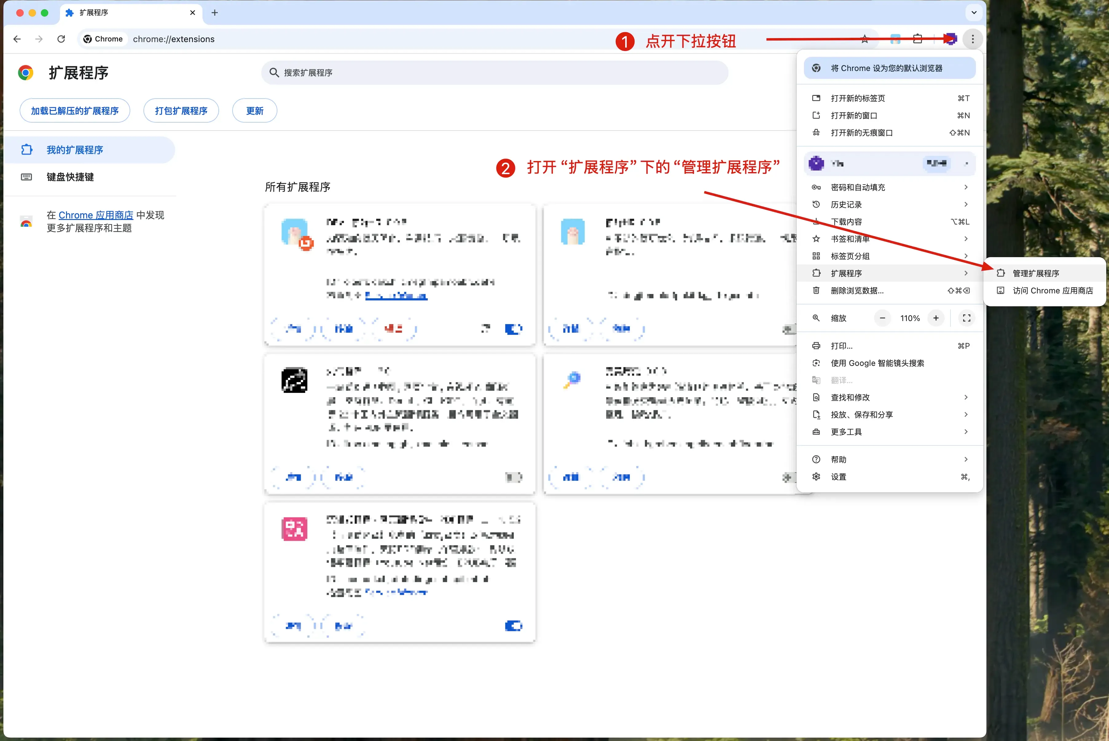 打开扩展程序页面